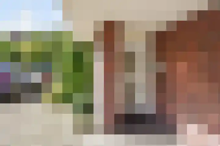 Segbroeklaan 394 Den Haag thumbnail 33