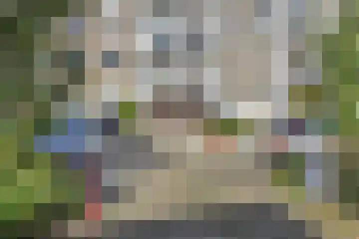 Segbroeklaan 394 Den Haag thumbnail 35