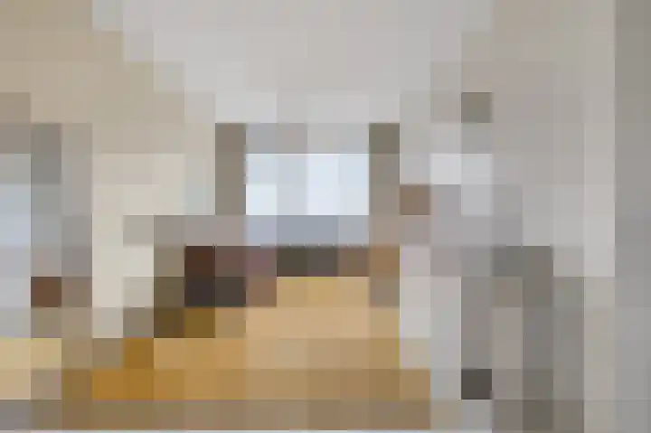 Segbroeklaan 406 E Den Haag thumbnail 11