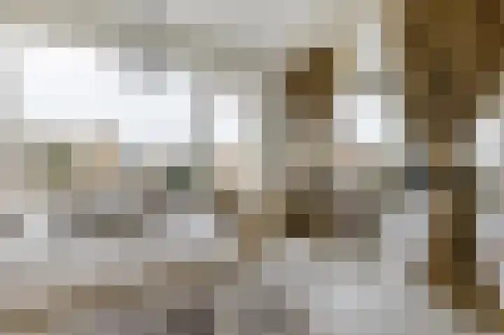 Segbroeklaan 406 E Den Haag thumbnail 12