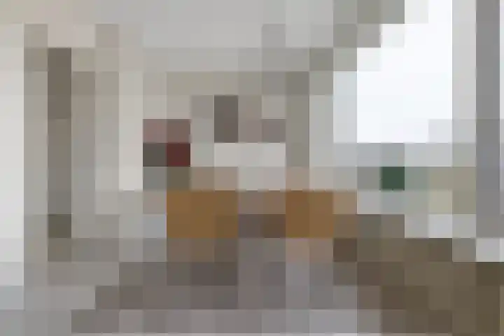 Segbroeklaan 406 E Den Haag thumbnail 13