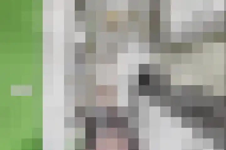 Segbroeklaan 406 E Den Haag thumbnail 17