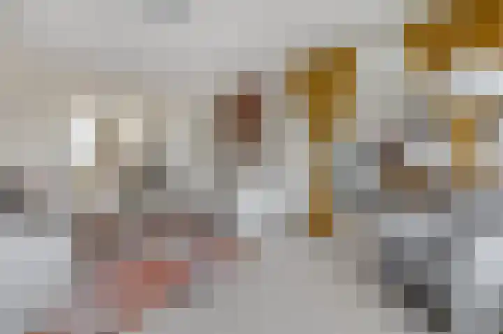 Segbroeklaan 406 E Den Haag thumbnail 5