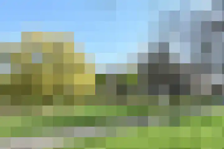 Segbroeklaan 410 B Den Haag thumbnail 42