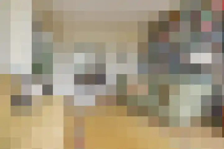Segbroeklaan 410 B Den Haag thumbnail 6