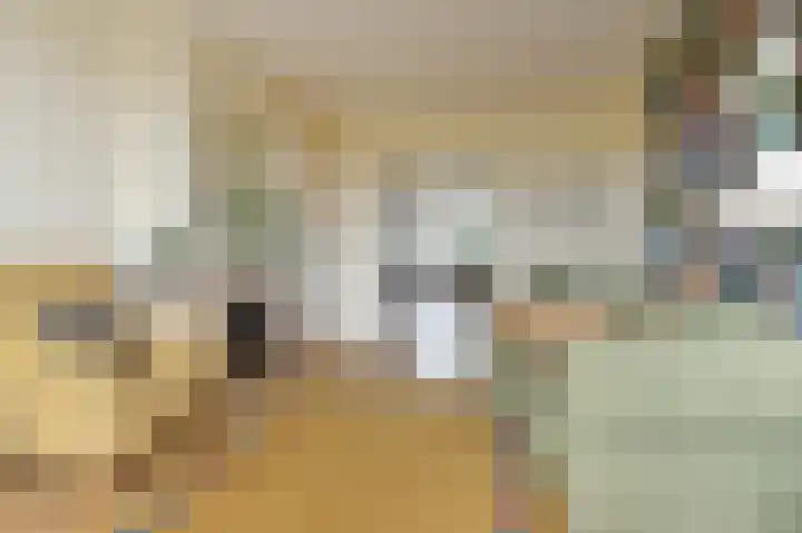Segbroeklaan 410 B Den Haag thumbnail 7