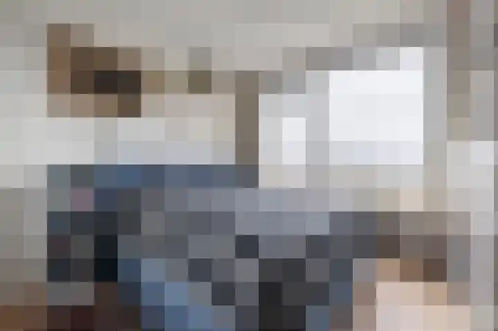 Segbroeklaan 410 G Den Haag thumbnail 10