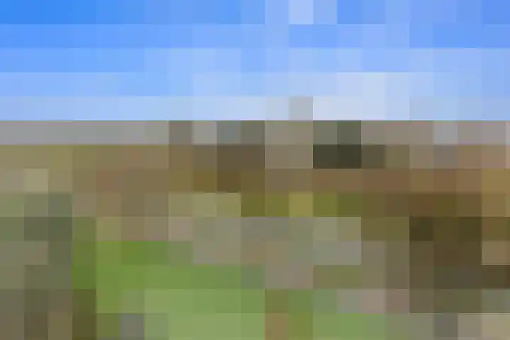 Segbroeklaan 410 G Den Haag thumbnail 12