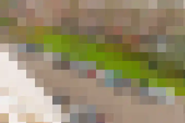 Segbroeklaan 410 G Den Haag thumbnail 13