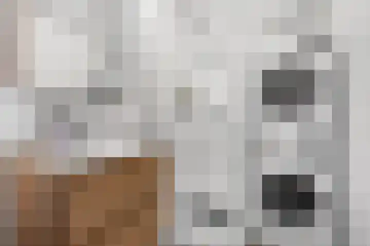 Segbroeklaan 410 G Den Haag thumbnail 6