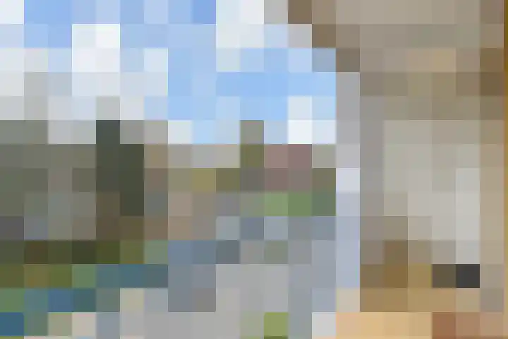 Segbroeklaan 412 A Den Haag thumbnail 10
