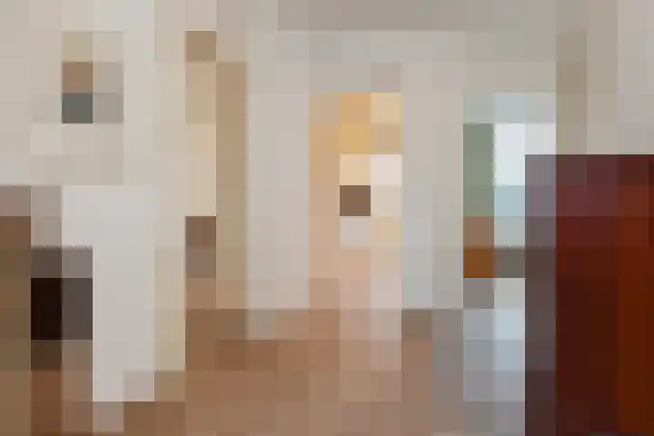 Segbroeklaan 412 A Den Haag thumbnail 13