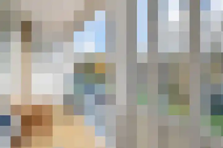 Segbroeklaan 412 A Den Haag thumbnail 15