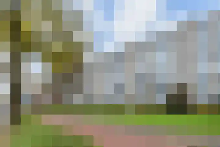 Segbroeklaan 412 A Den Haag thumbnail 28