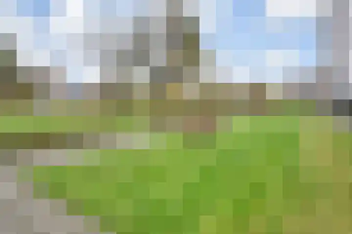 Segbroeklaan 412 A Den Haag thumbnail 30