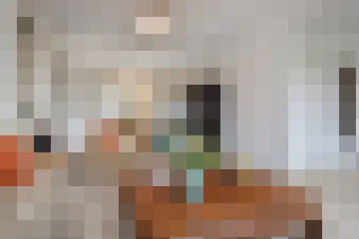 Segbroeklaan 412 A Den Haag thumbnail 7