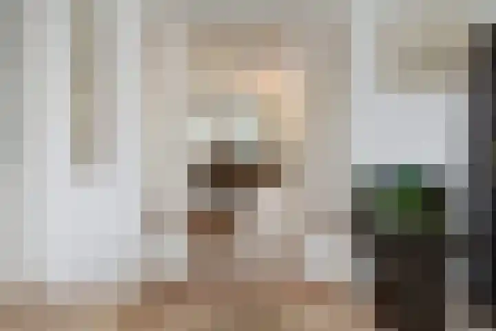 Segbroeklaan 412 A Den Haag thumbnail 8