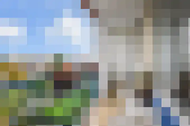 Segbroeklaan 412 M Den Haag thumbnail 33