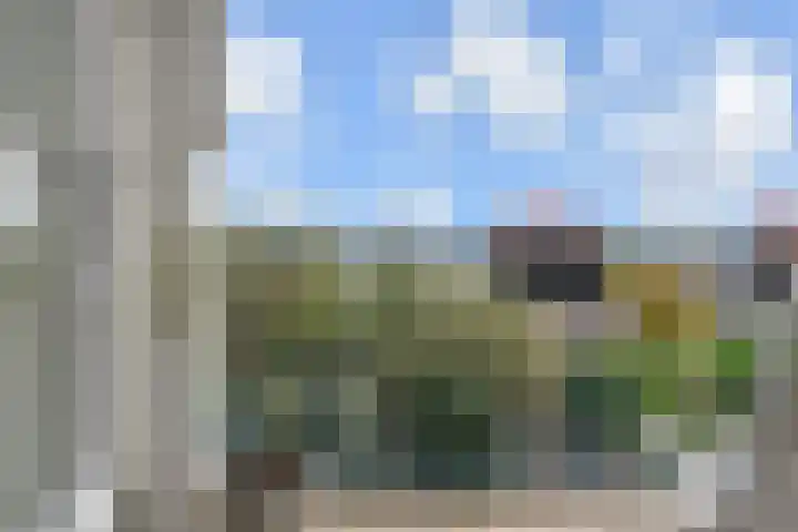 Segbroeklaan 412 M Den Haag thumbnail 35