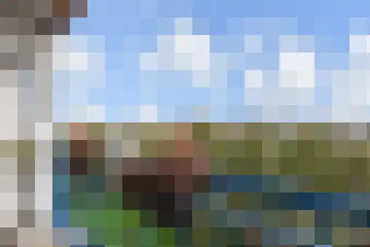 Segbroeklaan 412 M Den Haag thumbnail 37