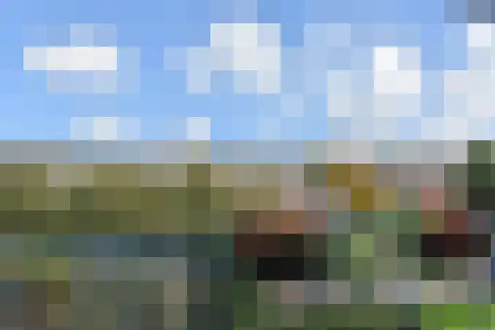 Segbroeklaan 412 M Den Haag thumbnail 38