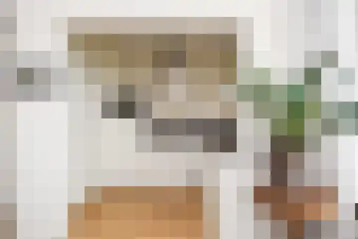 Segbroeklaan 412 M Den Haag thumbnail 42
