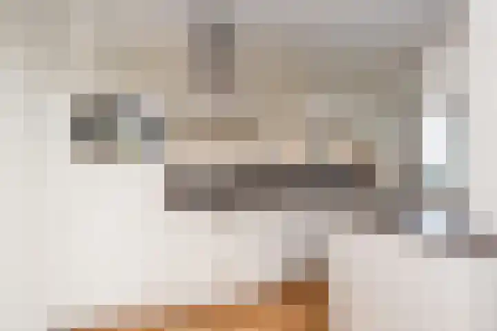 Segbroeklaan 412 M Den Haag thumbnail 43