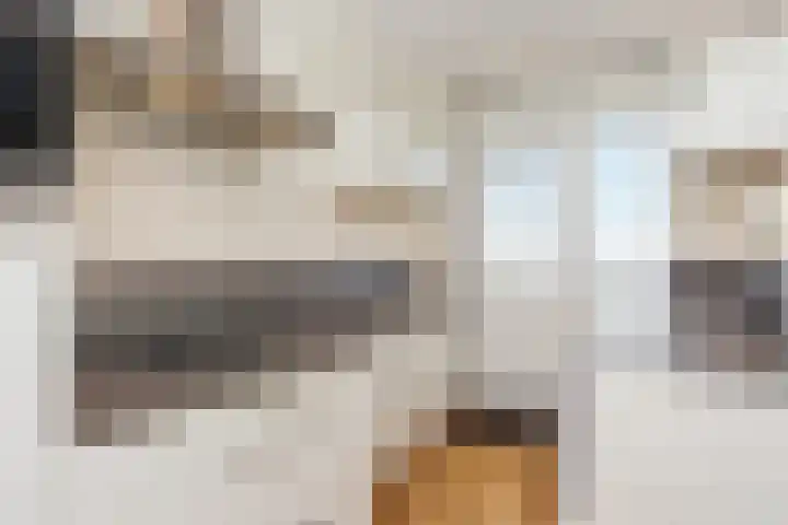 Segbroeklaan 412 M Den Haag thumbnail 45