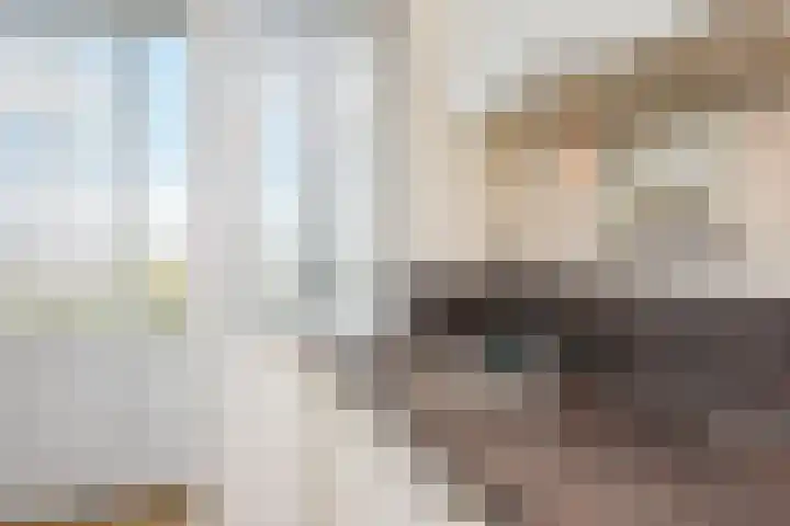 Segbroeklaan 412 M Den Haag thumbnail 48