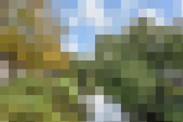 Segbroeklaan 412 M Den Haag thumbnail 52