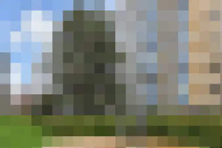 Segbroeklaan 412 M Den Haag thumbnail 54