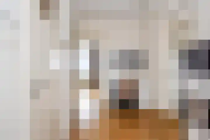 Segbroeklaan 412 M Den Haag thumbnail 8