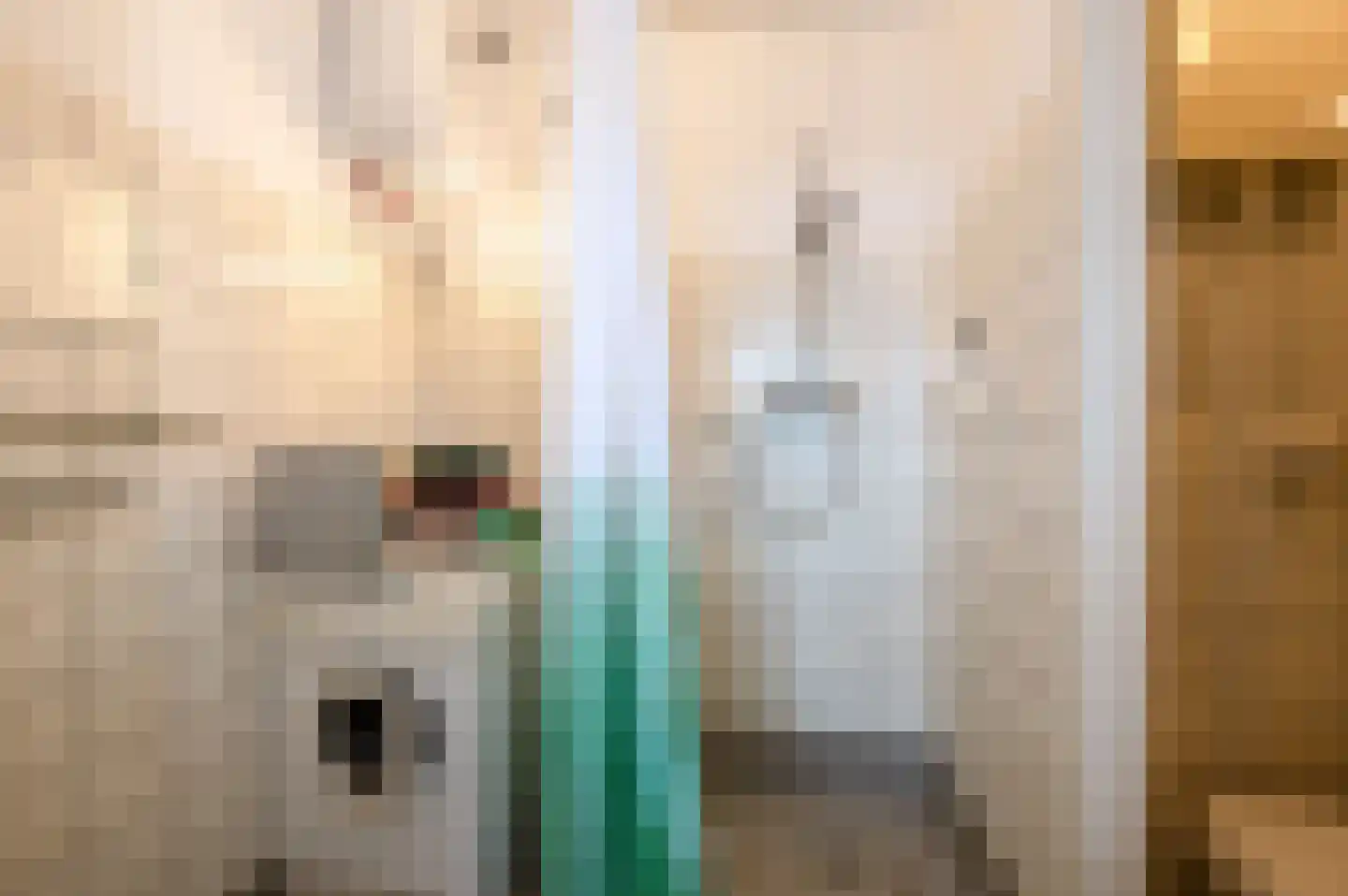 Segbroeklaan 414 E Den Haag thumbnail 29