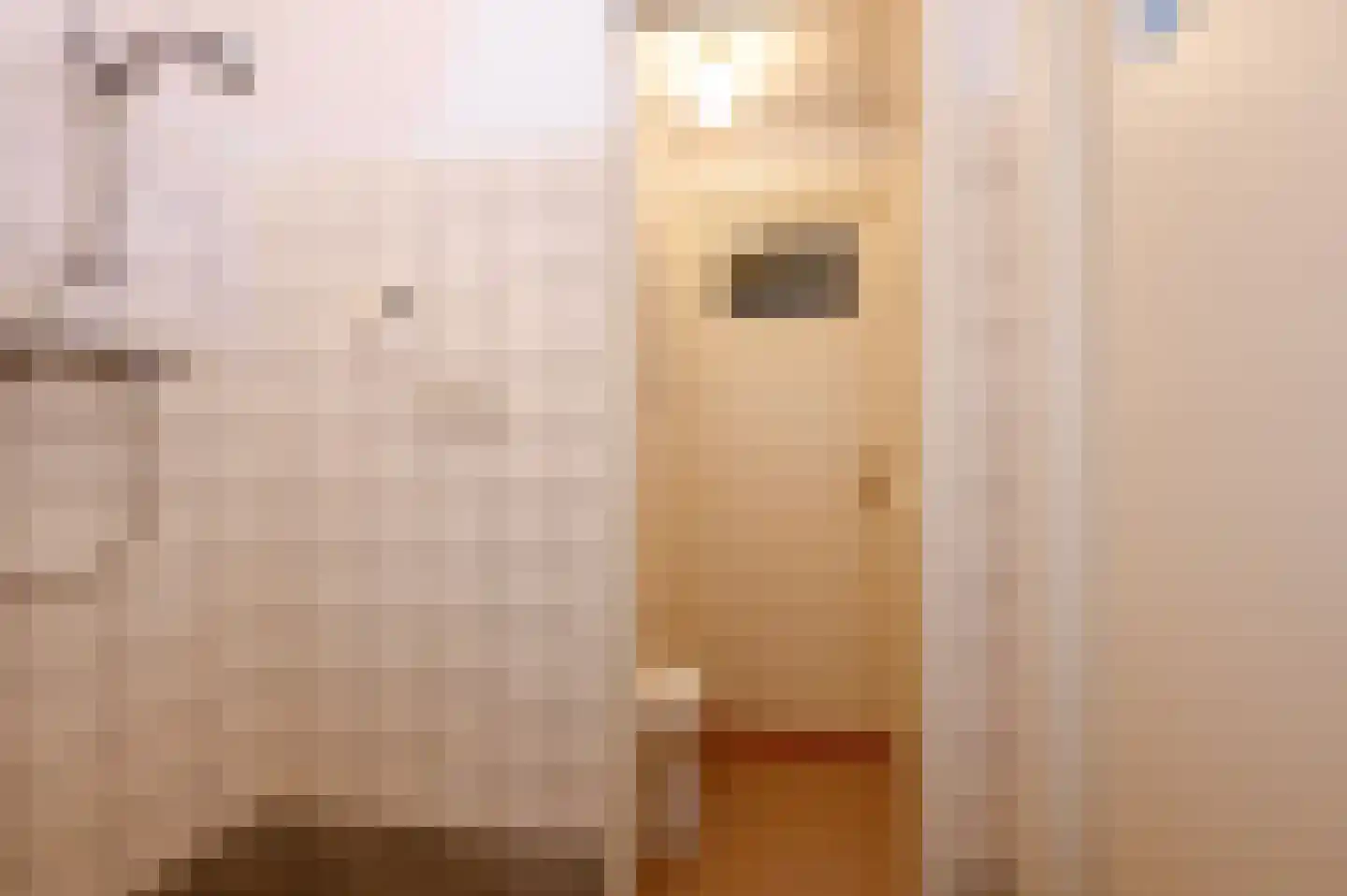 Segbroeklaan 414 E Den Haag thumbnail 30