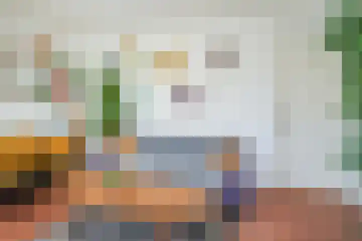 Segbroeklaan 416 M Den Haag thumbnail 11