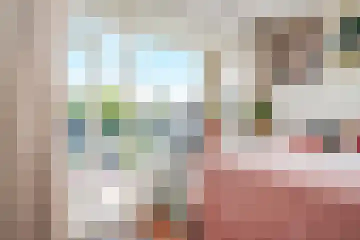 Segbroeklaan 416 M Den Haag thumbnail 19