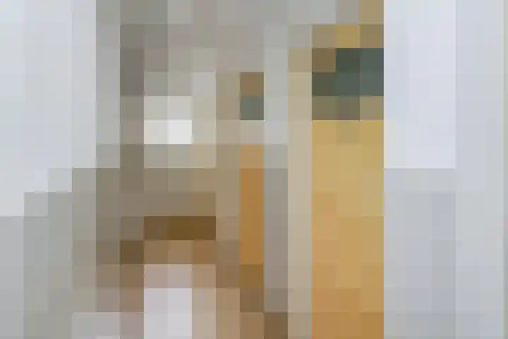 Segbroeklaan 416 M Den Haag thumbnail 31