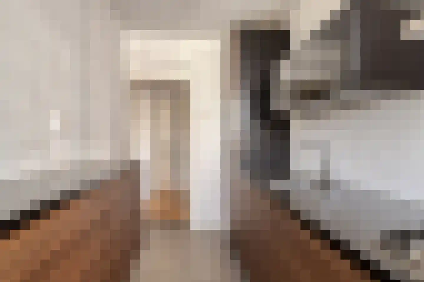 Segbroeklaan 416 N Den Haag thumbnail 14