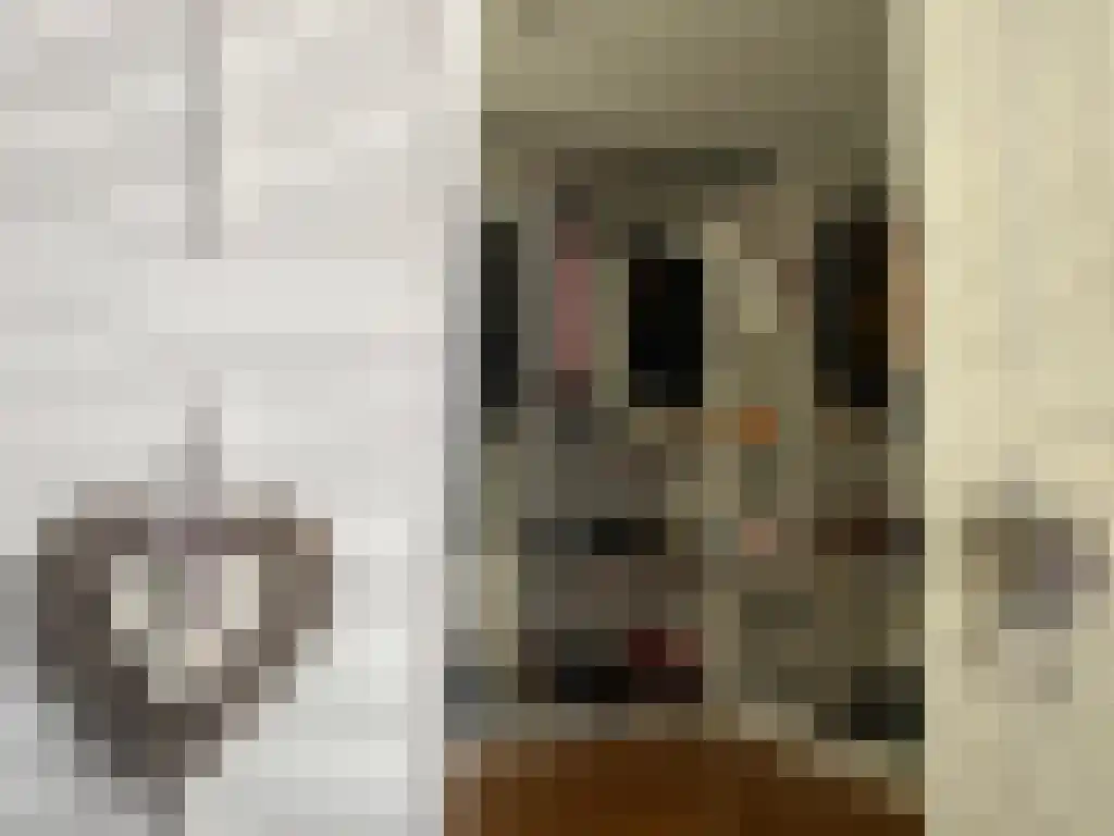 Segbroeklaan 416 P Den Haag thumbnail 12
