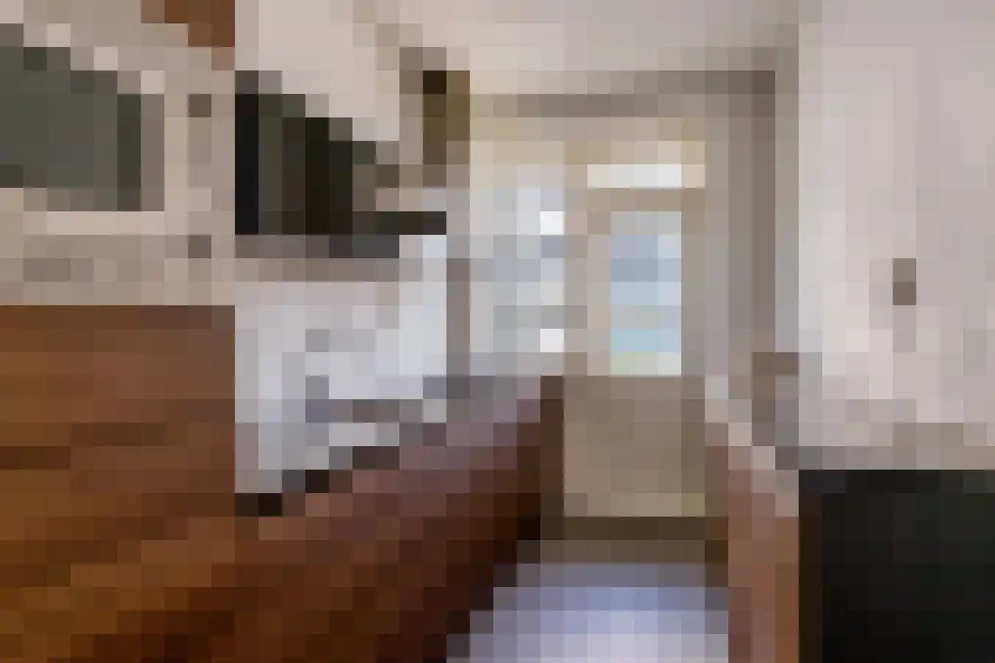 Segbroeklaan 416 P Den Haag thumbnail 13