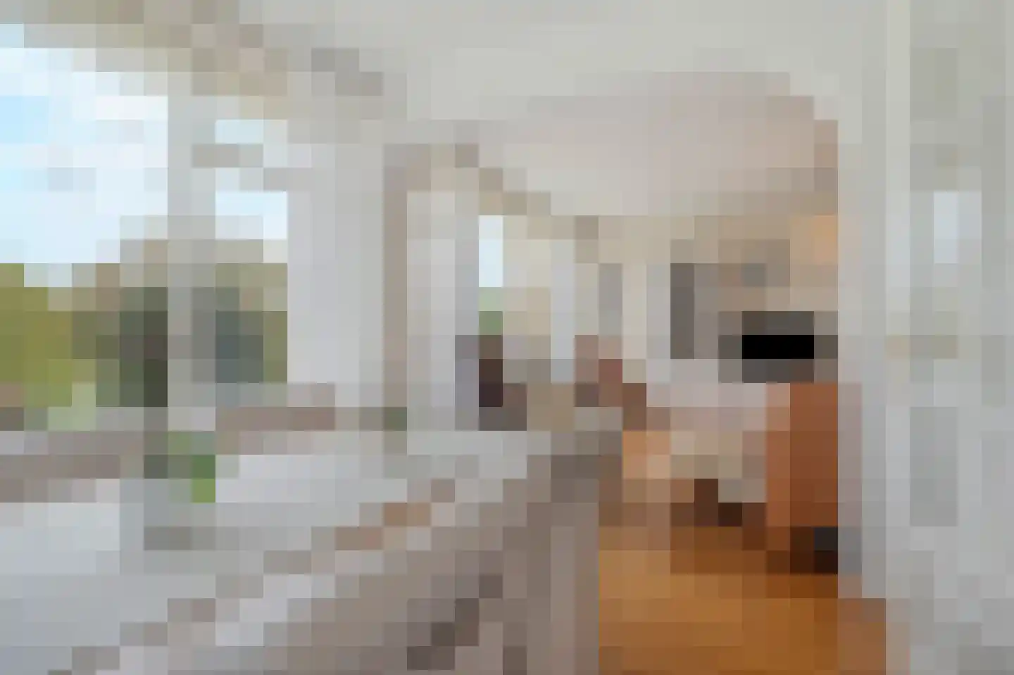 Segbroeklaan 418 B Den Haag thumbnail 10