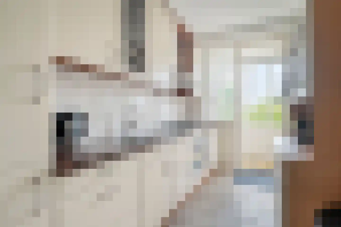 Segbroeklaan 418 B Den Haag thumbnail 16