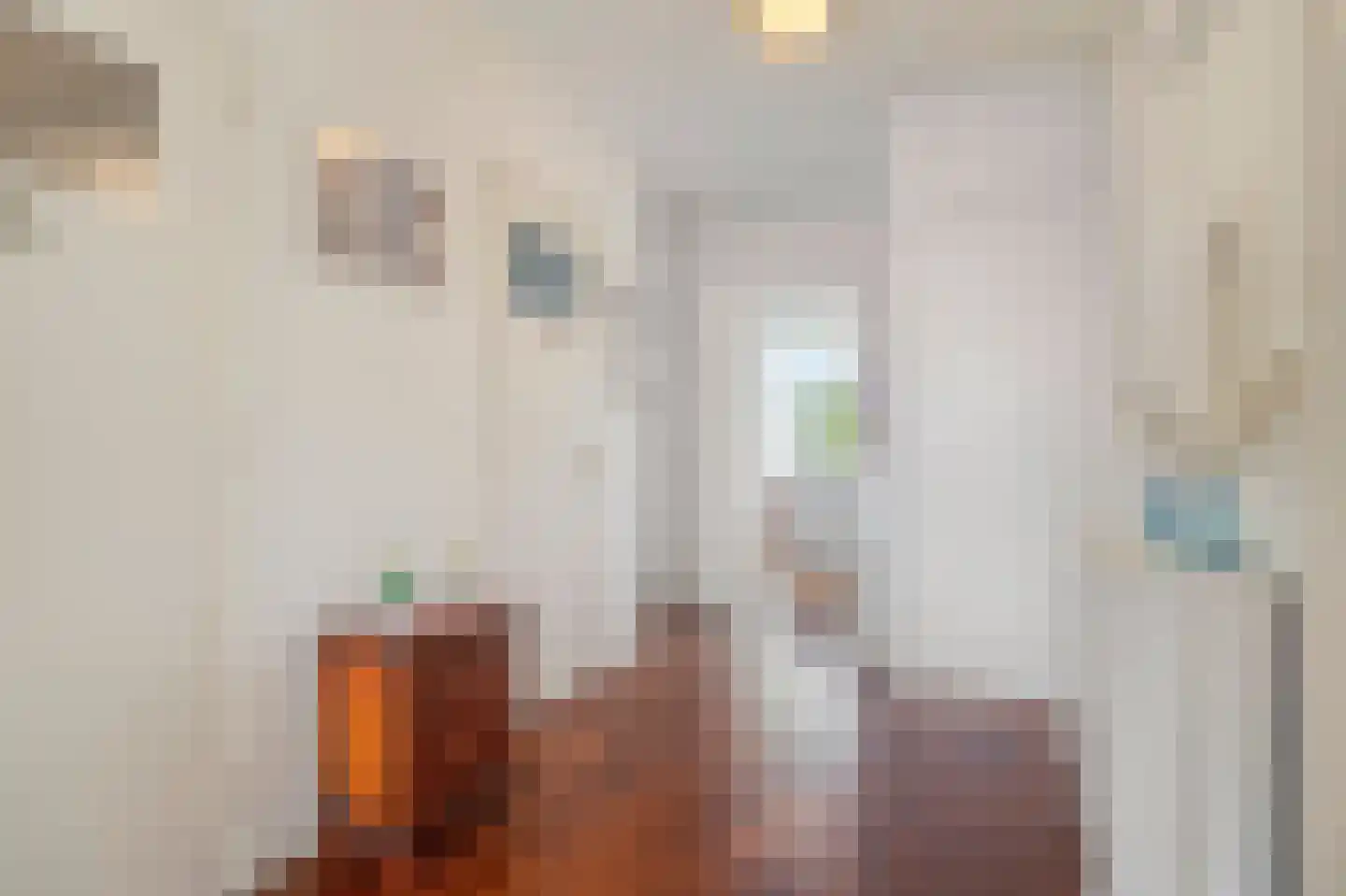 Segbroeklaan 418 B Den Haag thumbnail 20