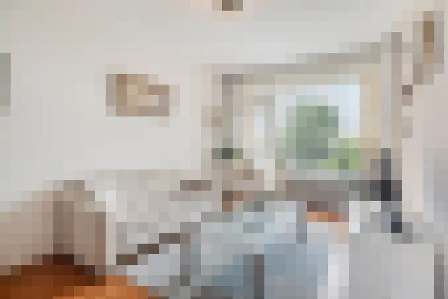 Segbroeklaan 418 D Den Haag thumbnail 13