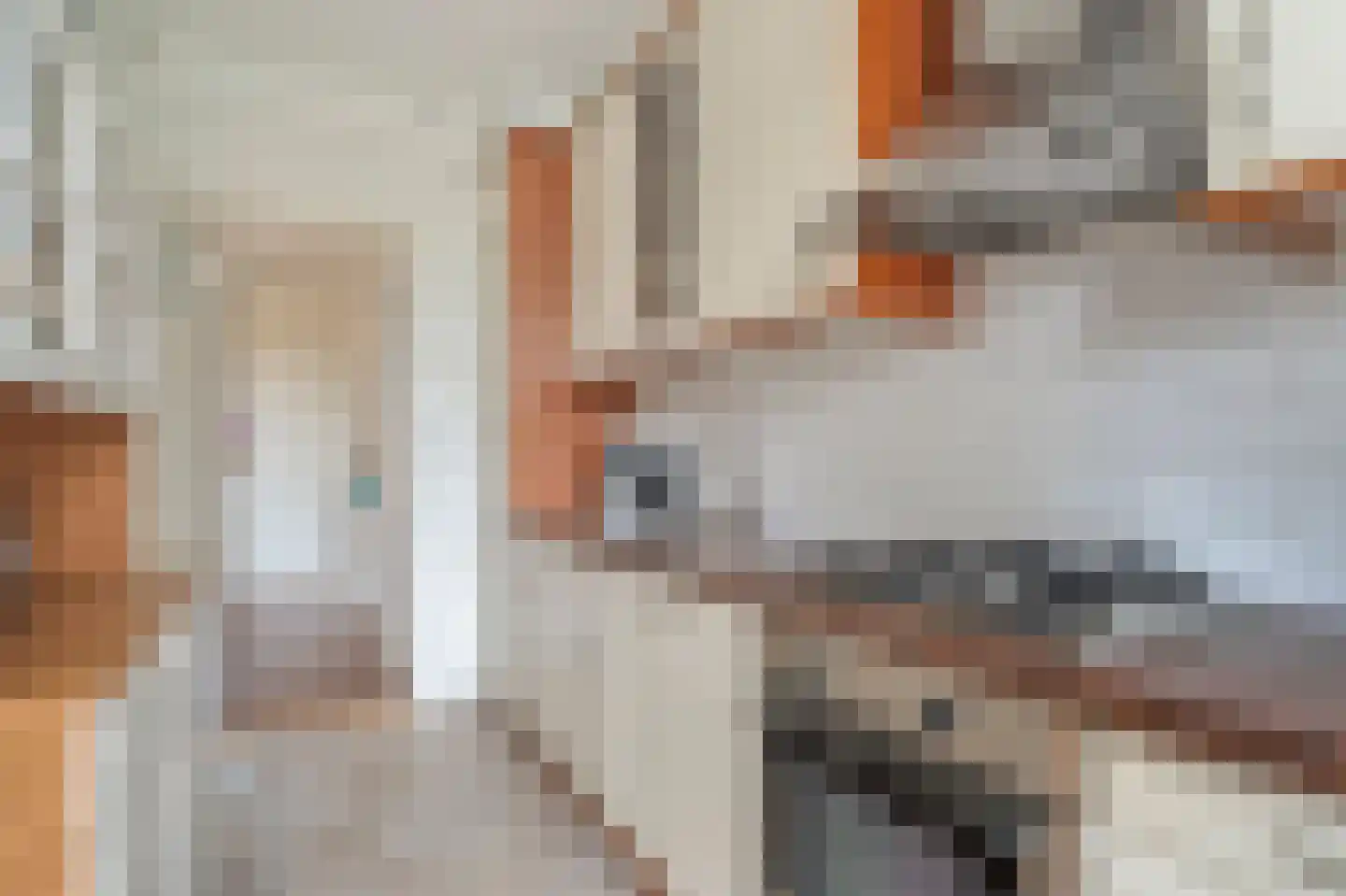 Segbroeklaan 418 D Den Haag thumbnail 16