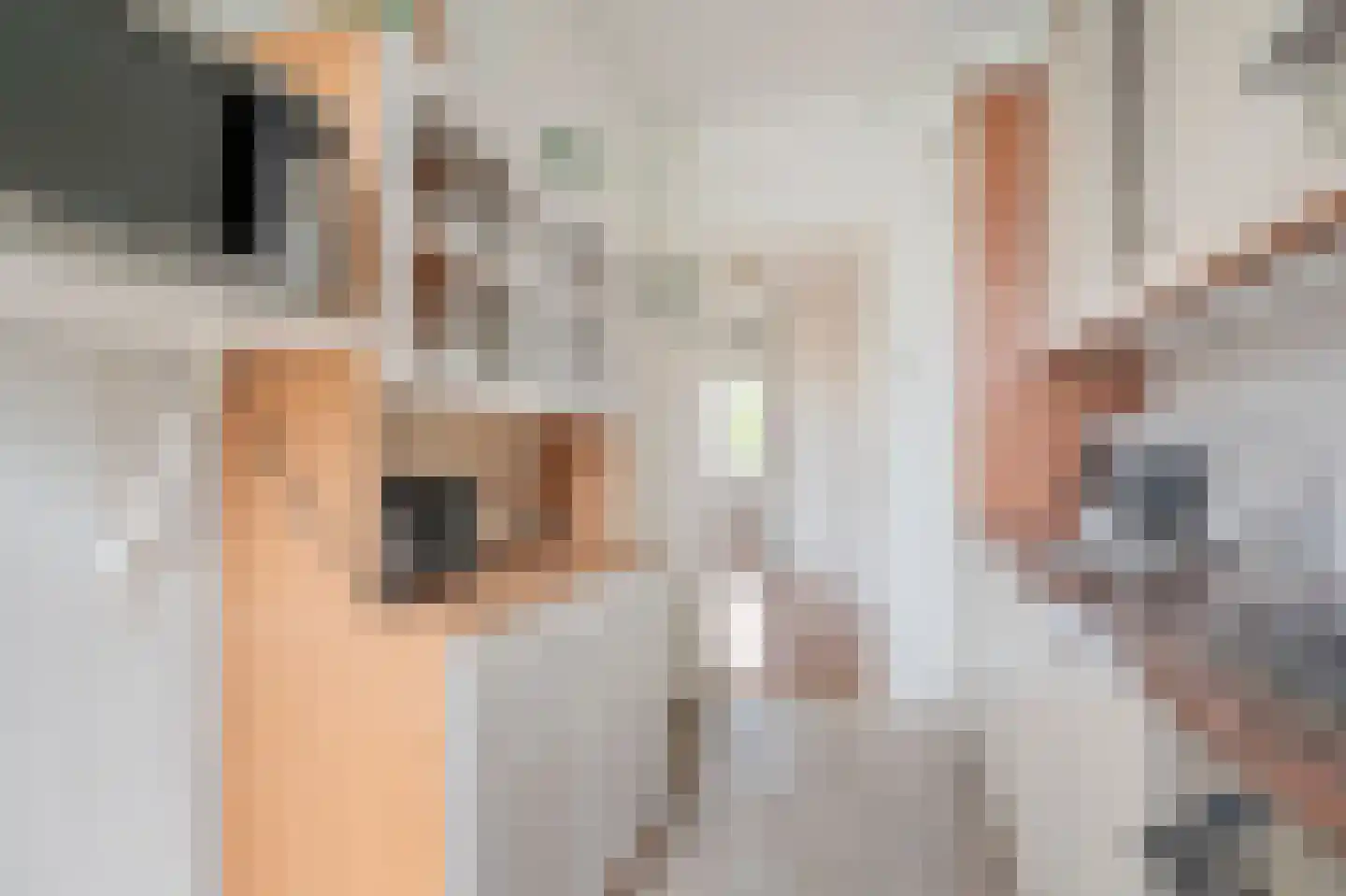Segbroeklaan 418 D Den Haag thumbnail 19