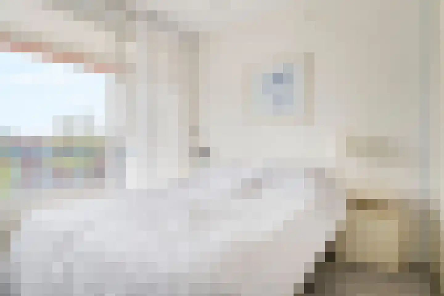 Segbroeklaan 418 D Den Haag thumbnail 22