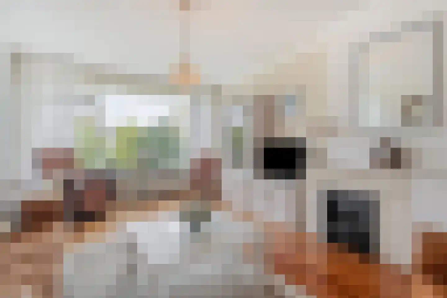 Segbroeklaan 418 D Den Haag thumbnail 6