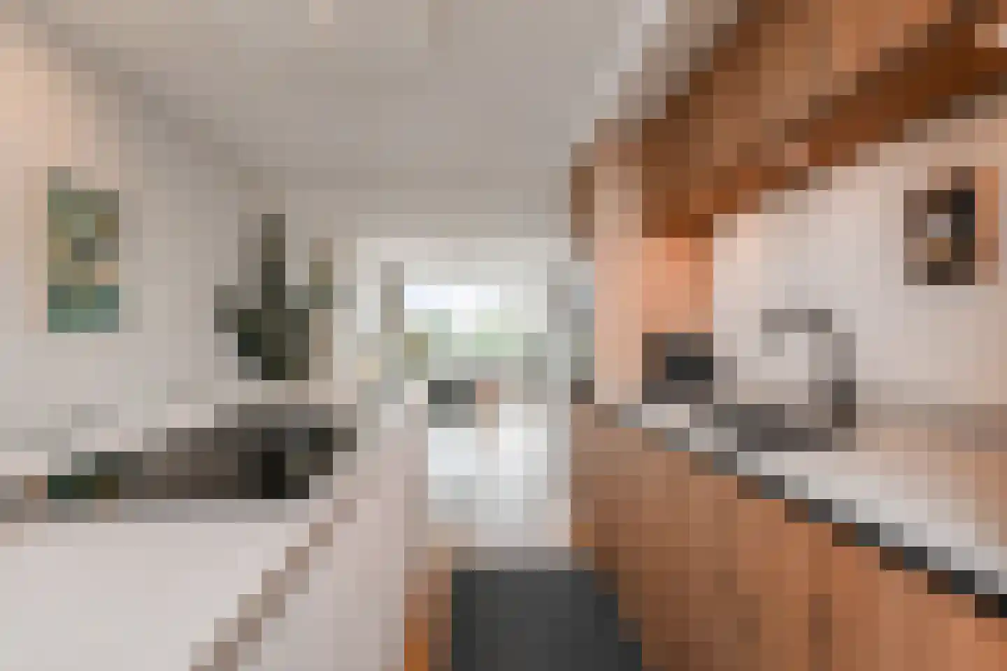 Segbroeklaan 418 L Den Haag thumbnail 16