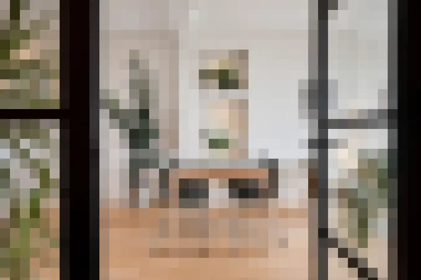 Segbroeklaan 418 L Den Haag thumbnail 7